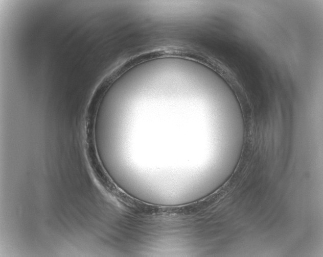 X0000068900730200605051140