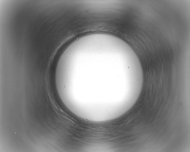 X0000068900731200605051140