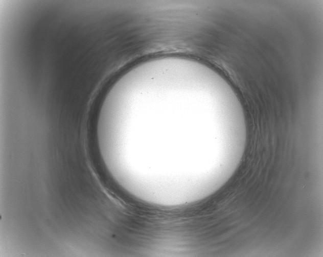 X0000068900736200605051140