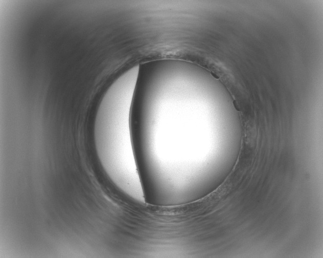 X0000068900740200605051140