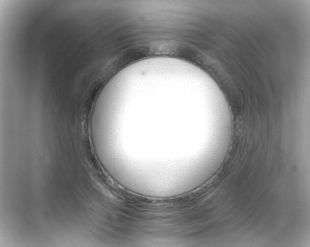X0000068900741200605051140