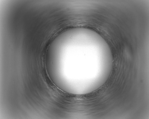 X0000068900743200605051140