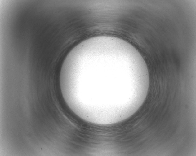 X0000068900744200605051140