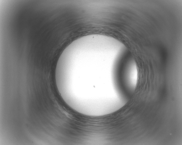 X0000068900750200605051140
