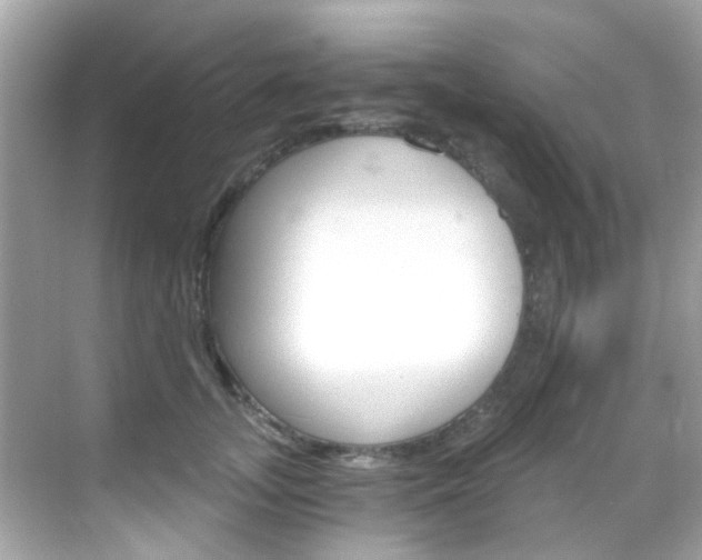 X0000068900755200605051140