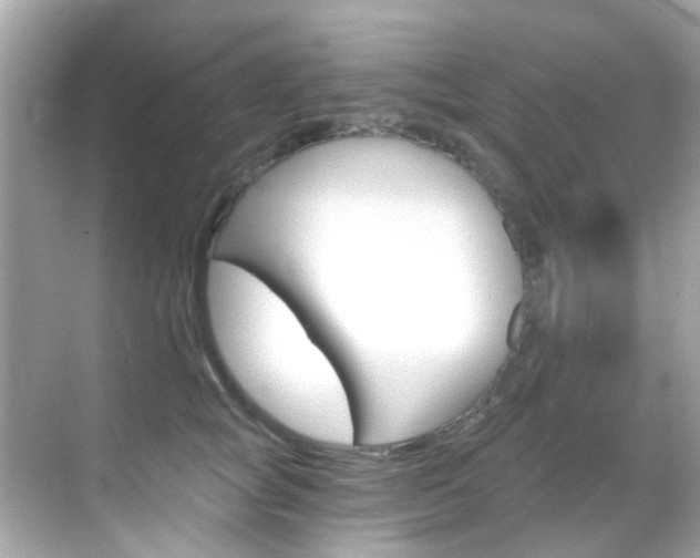 X0000068900757200605051141