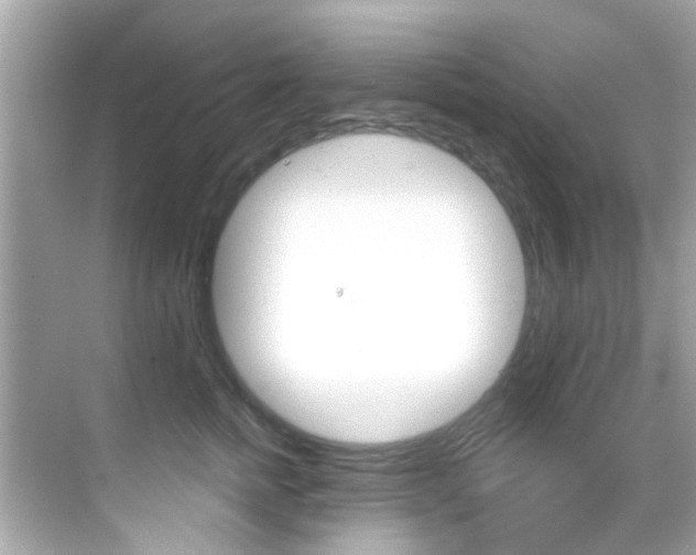 X0000068900758200605051141