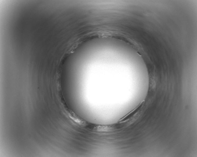 X0000068900766200605051141