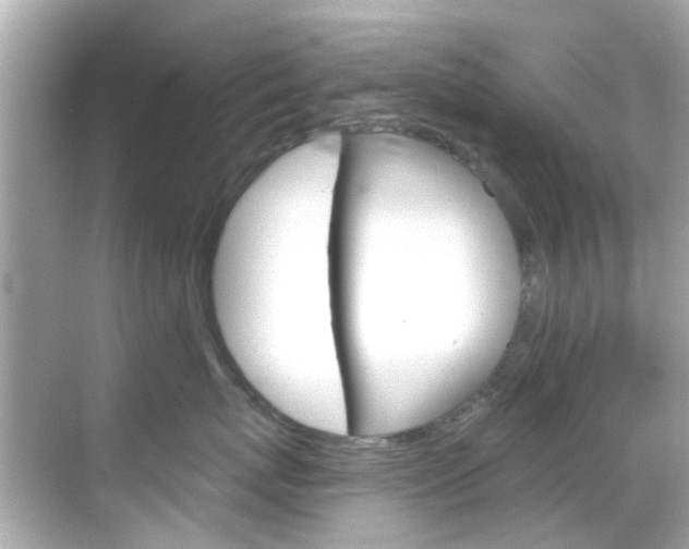 X0000068900767200605051141