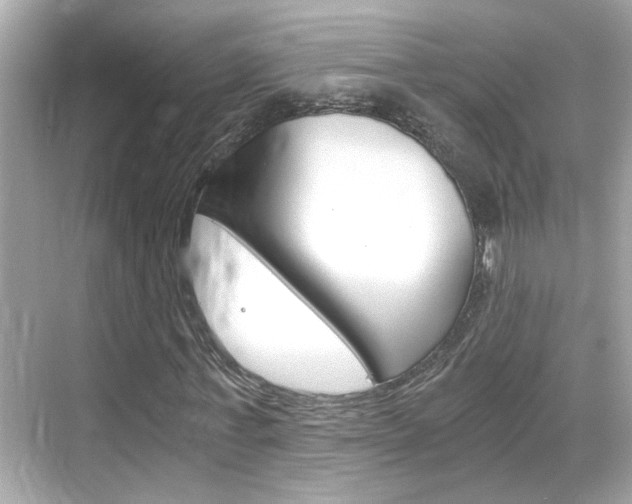 X0000068900771200605051140