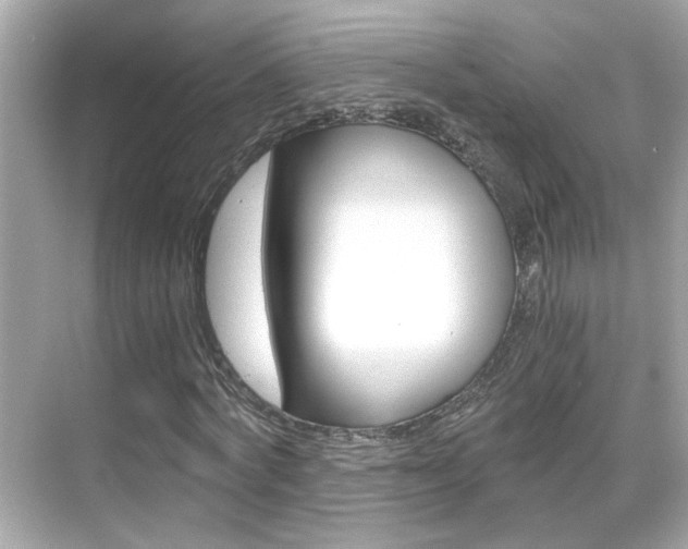 X0000068900772200605051140