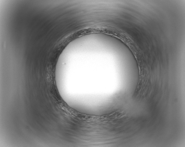 X0000068900773200605051140
