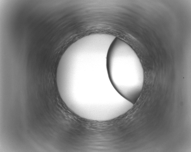 X0000068900774200605051140