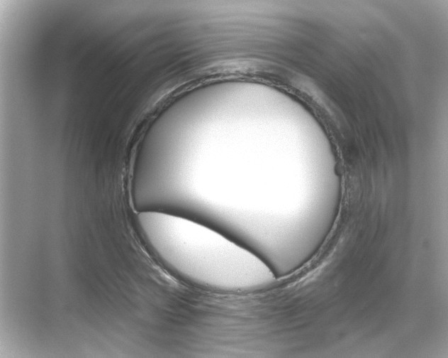 X0000068900778200605051140