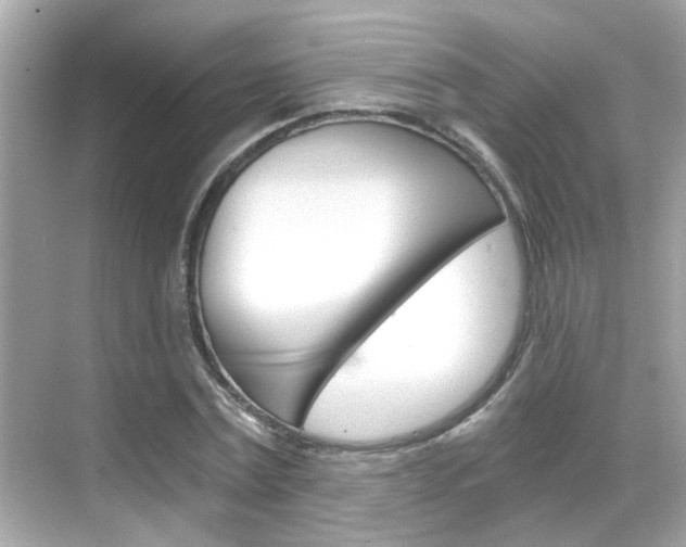 X0000068900779200605051140