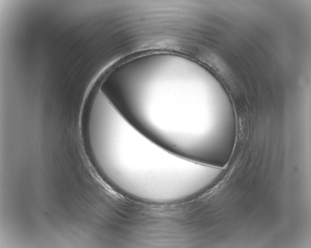 X0000068900780200605051140