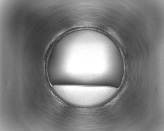 X0000068900781200605051140