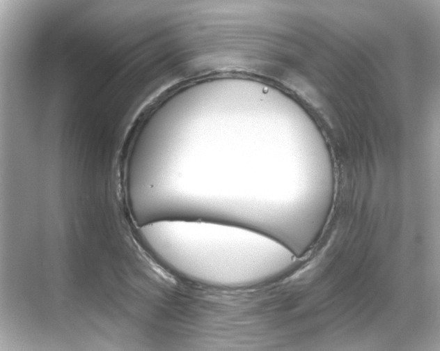 X0000068900782200605051140
