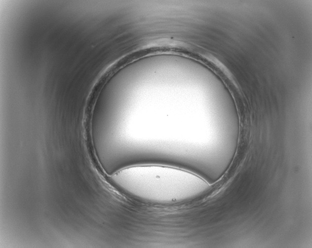 X0000068900783200605051140