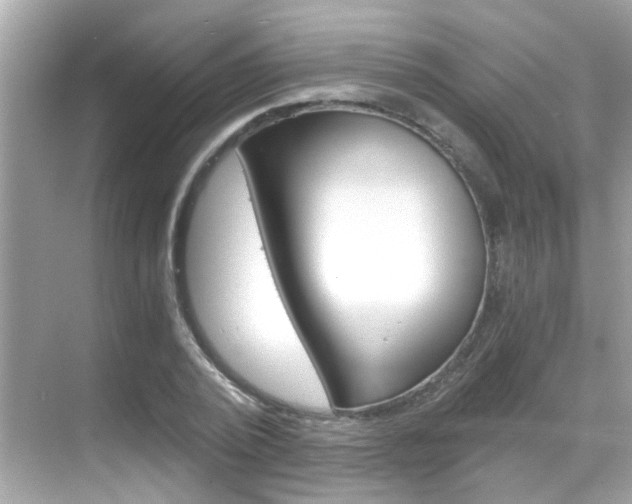 X0000068900784200605051140