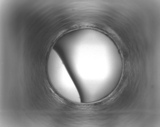 X0000068900785200605051140
