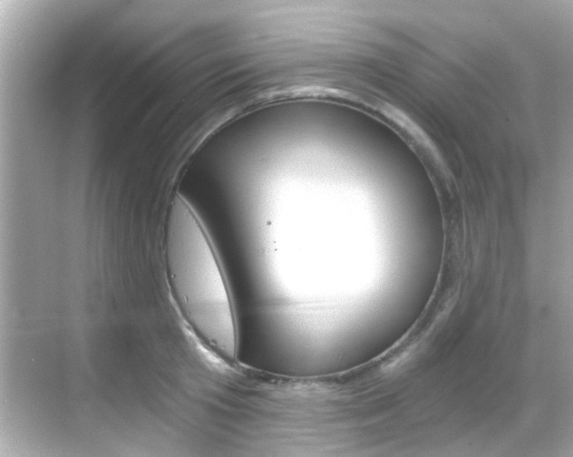 X0000068900801200605051139