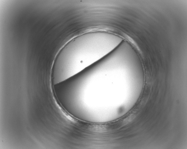 X0000068900802200605051139