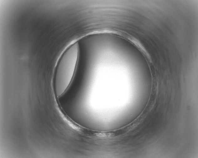 X0000068900805200605051139