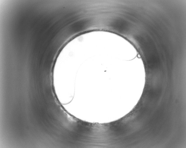 X0000068900807200605051139