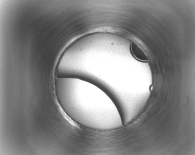 X0000068900808200605051139