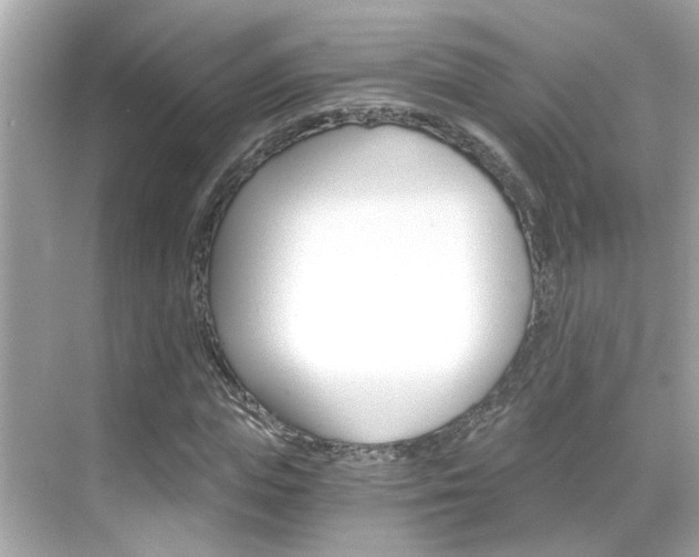 X0000068900823200605051138