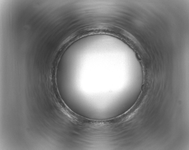X0000068900826200605051138