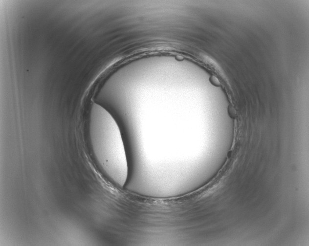 X0000068900827200605051138