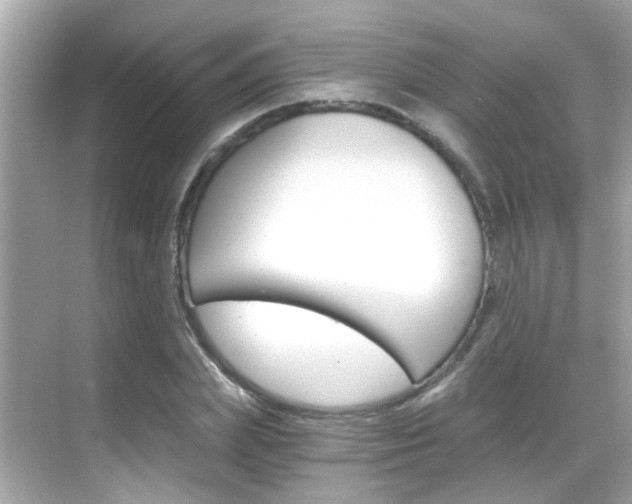 X0000068900831200605051139