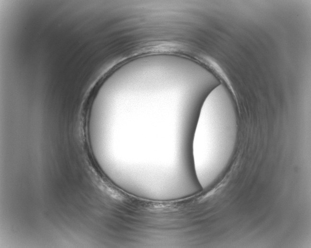 X0000068900835200605051139