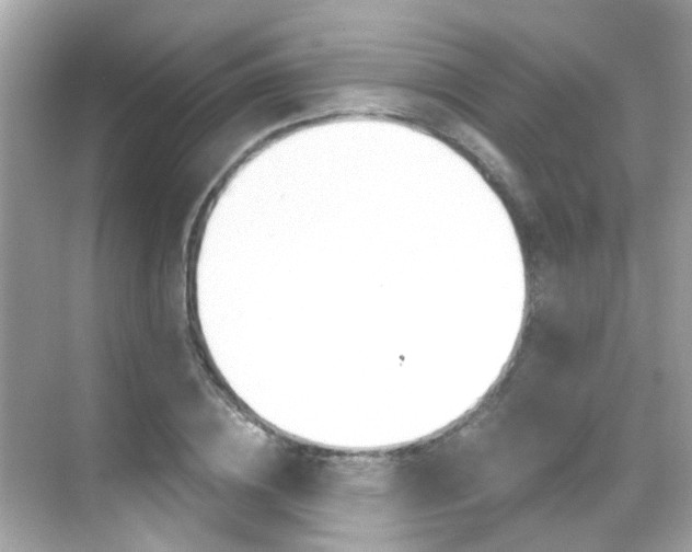 X0000068900836200605051139