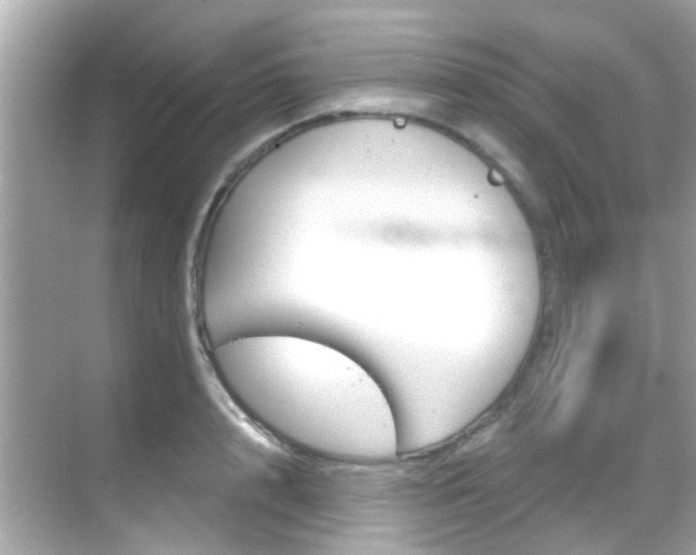 X0000068900848200605051139