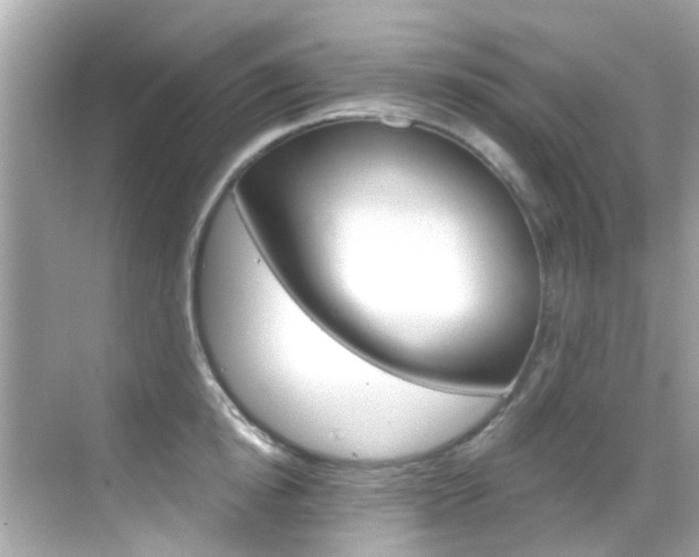 X0000068900854200605051139