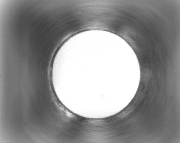 X0000068900856200605051139