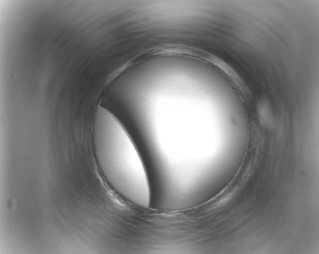 X0000068900857200605051139