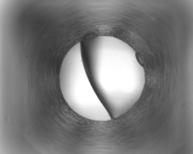 X0000068900866200605051138