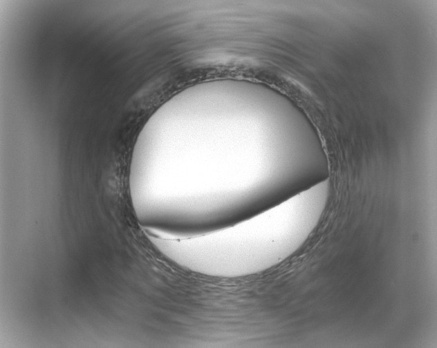 X0000068900869200605051138