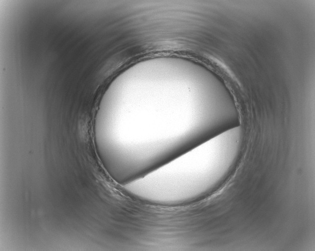 X0000068900873200605051138