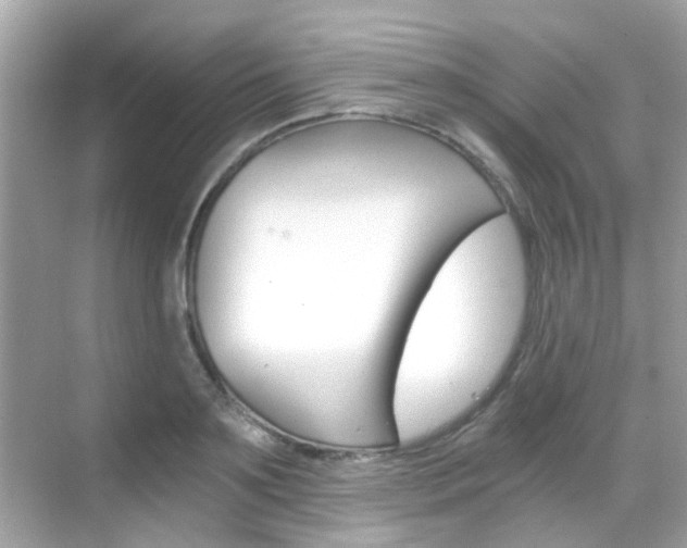 X0000068900891200605051138