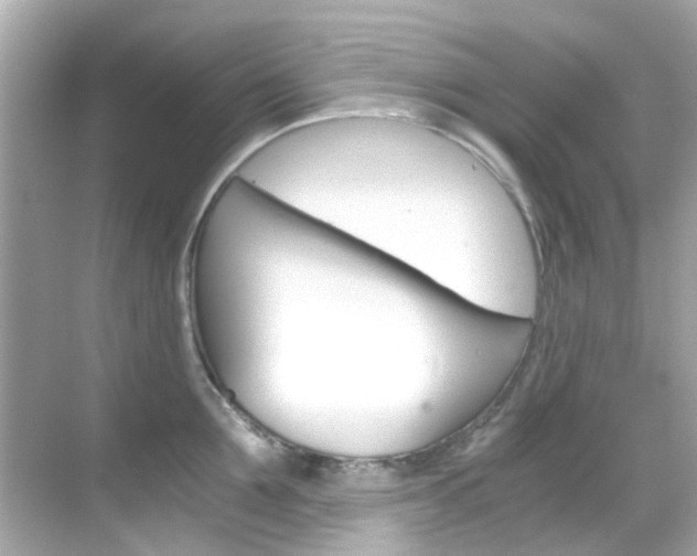 X0000068900907200605051138