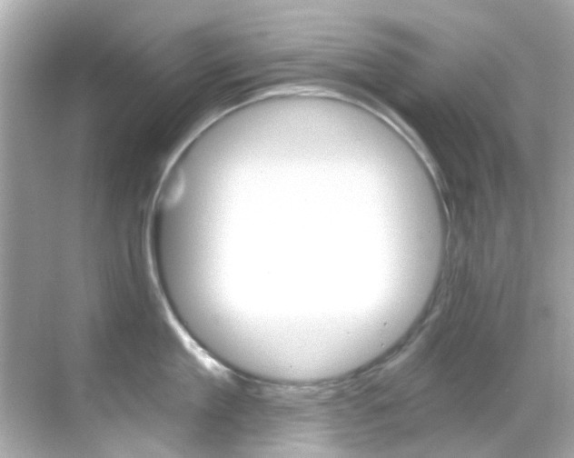 X0000068900909200605051138