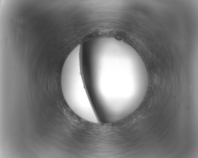 X0000068900914200605051137