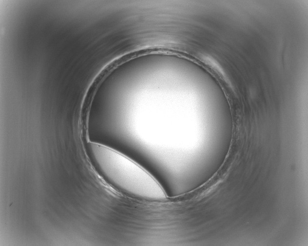 X0000068900924200605051137