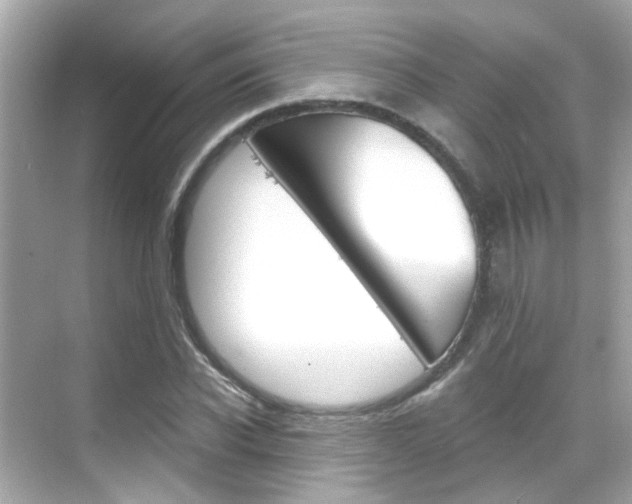 X0000068900926200605051137