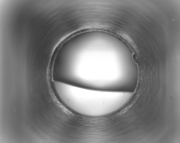 X0000068900928200605051137